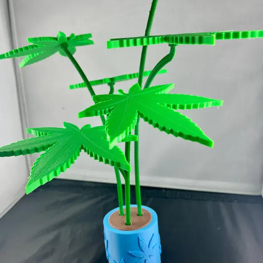 Pflanze mit Untersetzer