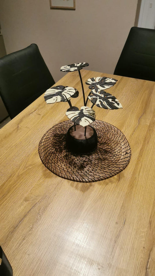 Monstera Pflanze mit Untersetzer