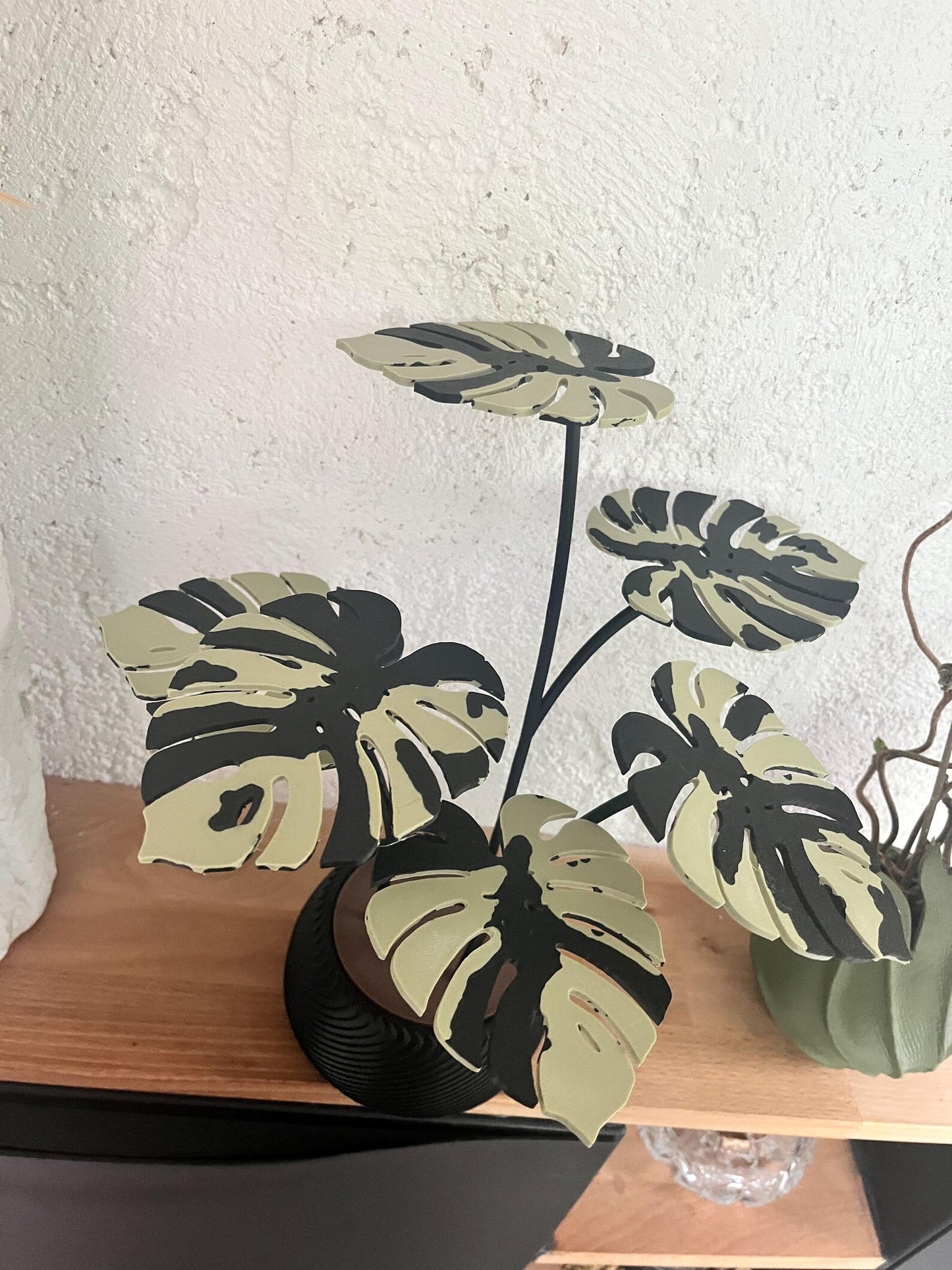 Monstera Pflanze mit Untersetzer